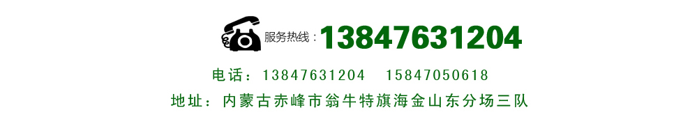 ��ϵ����